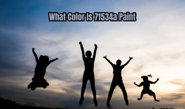 What Color Family is 7F534A